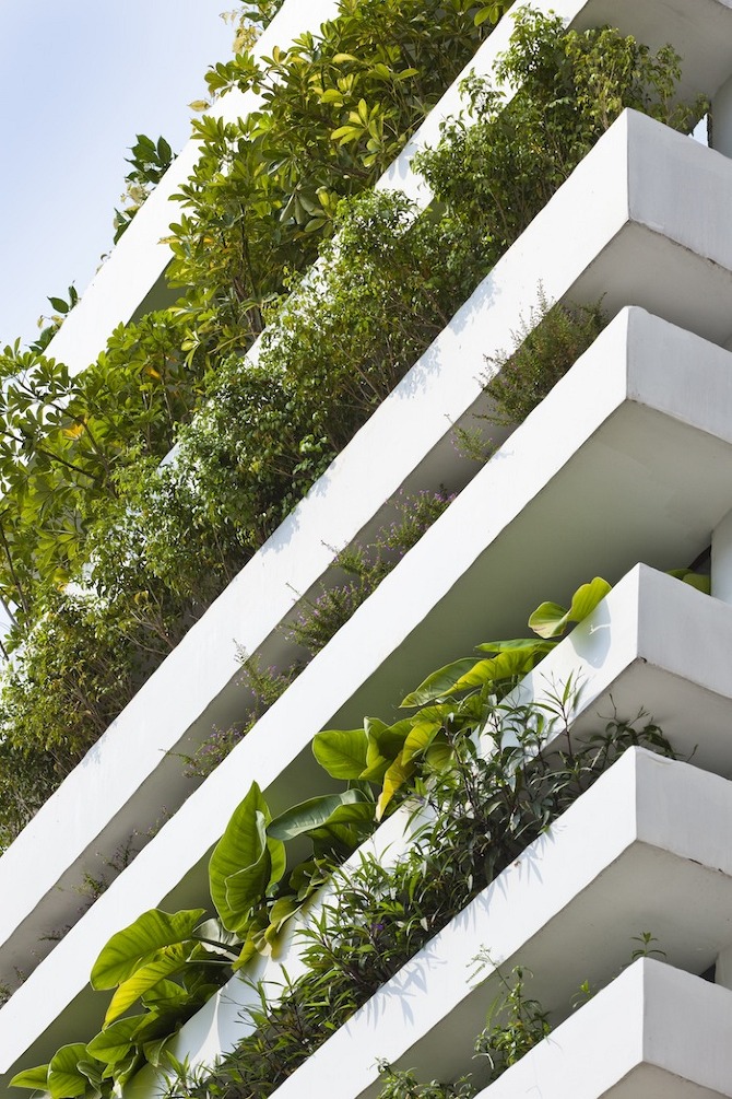 02 Stacking Green by Võ Trọng Nghĩa on thisispaper.com
